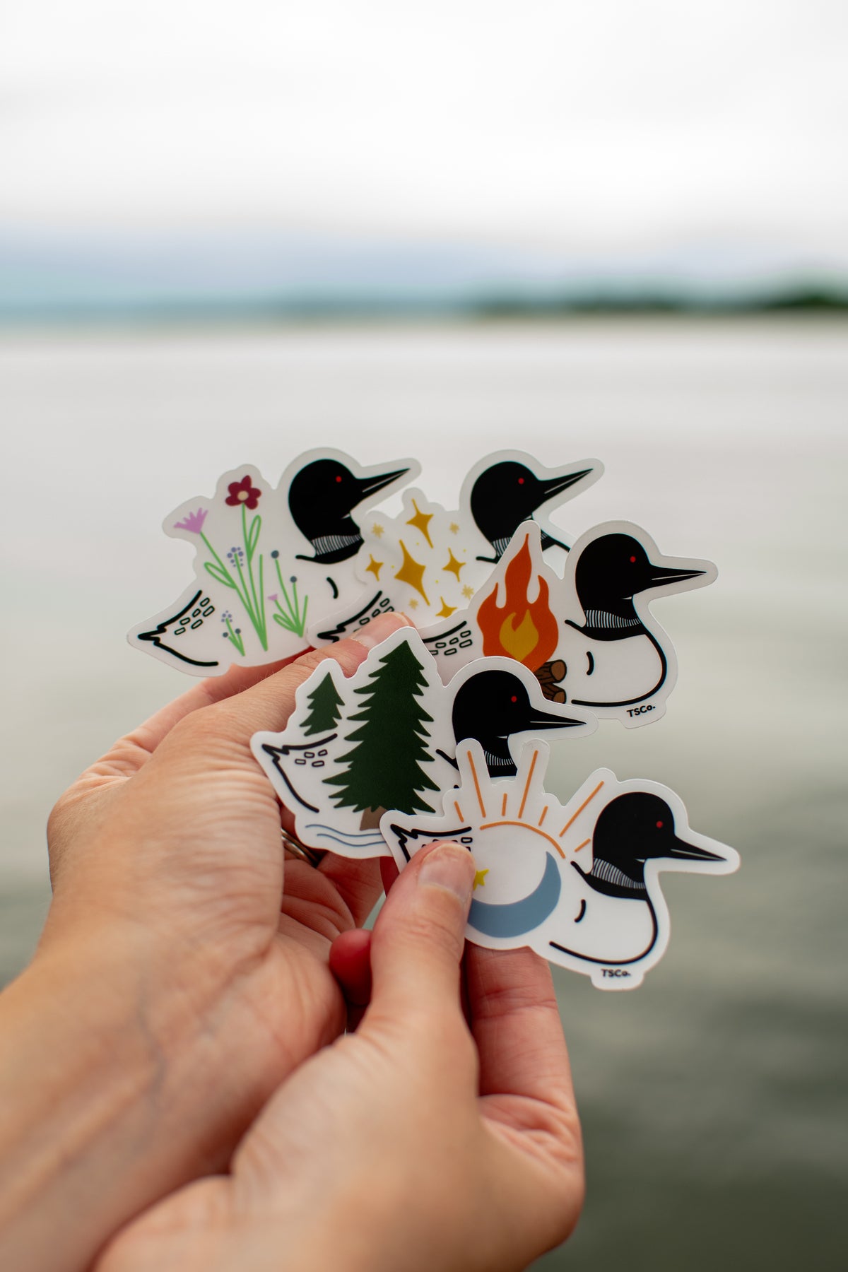 A pair of hands holding a cluster of die-cut stickers featuring illustrated loons and nature motifs, with a blurred lake and trees in the background.