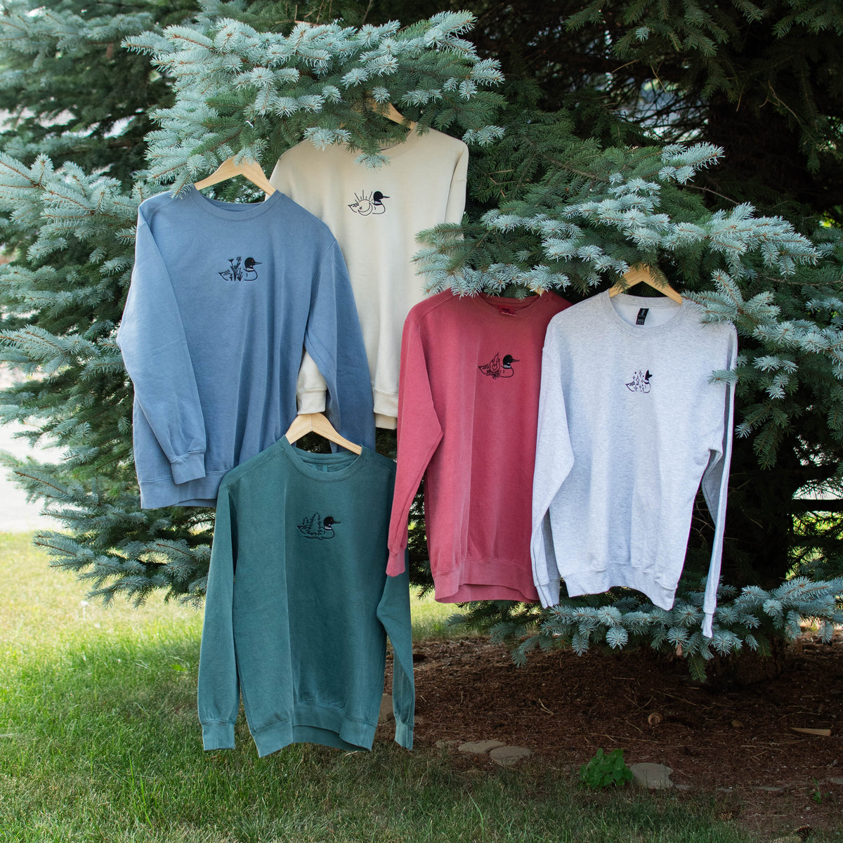 Five crewneck sweatshirts in different colors (from top left to right and bottom: blue jean, sand, crimson, ash, and blue spruce) are hanging on wooden hangers from the branches of a pine tree outdoors.
